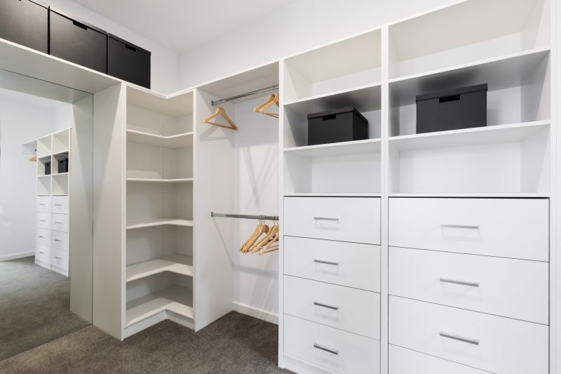 Closet Organization Vs Diy Storage Systems